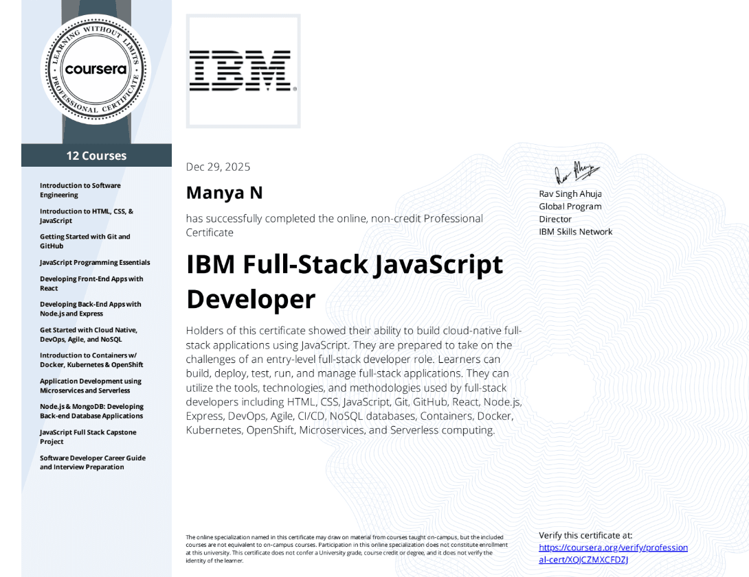 Full Stack JS Developer
